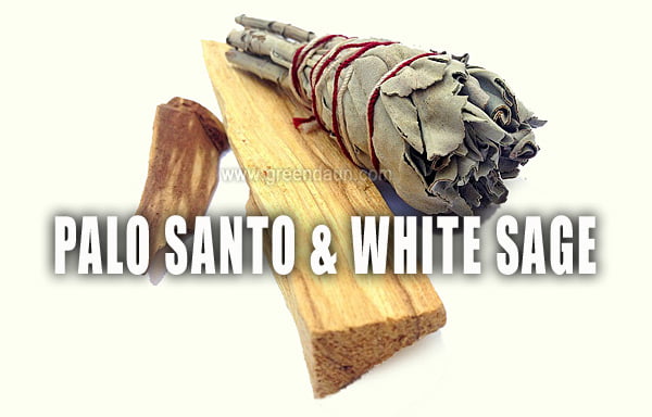 Palo Santo and White Sage Malaysia