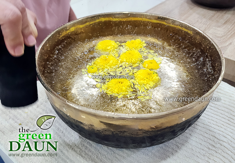 Sound Healing Singing Bowl